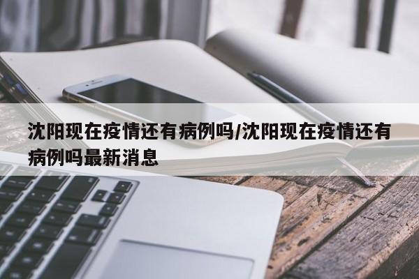 沈阳现在疫情还有病例吗／沈阳现在疫情还有病例吗最新消息